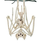 Halloween Horror Skeleton & Creature Decor – Creepy Party Decorations