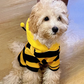 Bee Dog Hoodie – Halloween & Winter Pet Costume for Cats and Small Dogs