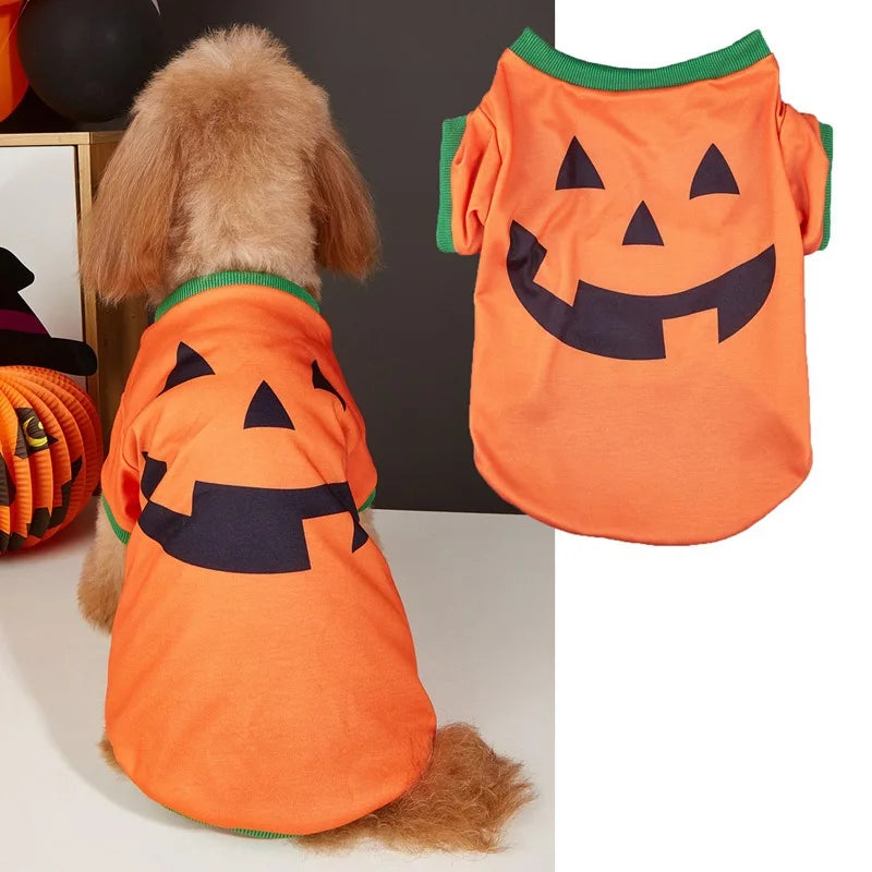 Halloween Pet Clothing – Funny Pumpkin Skull Tee