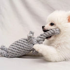 Durable Rope Knot Dog Toy – Hand-Woven Cotton Chew Toy for Small & Medium Dogs