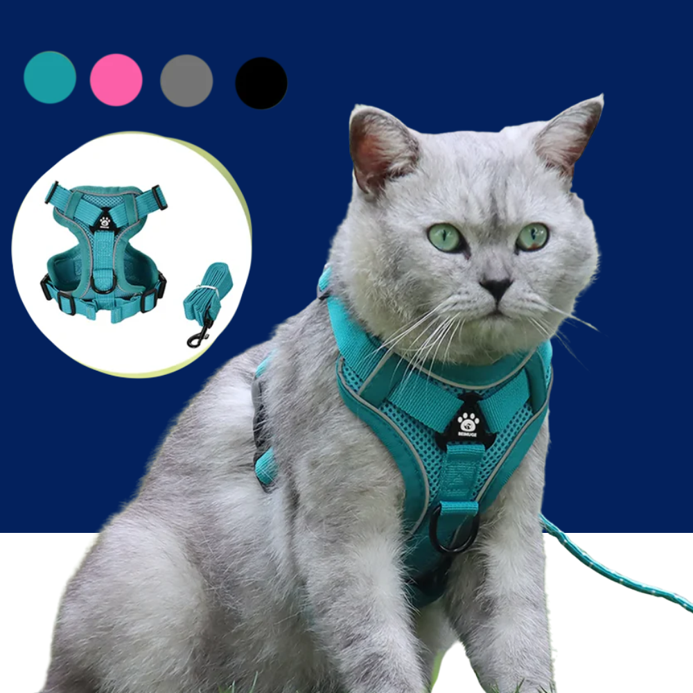 Secure escape proof cat harness with leash for outdoor adventures