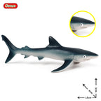Oenux Ocean Animals Action Figures Sealife Shark Whare Megalodon Model Figurines PVC Home Decoration Kid Cognitive Education Toy