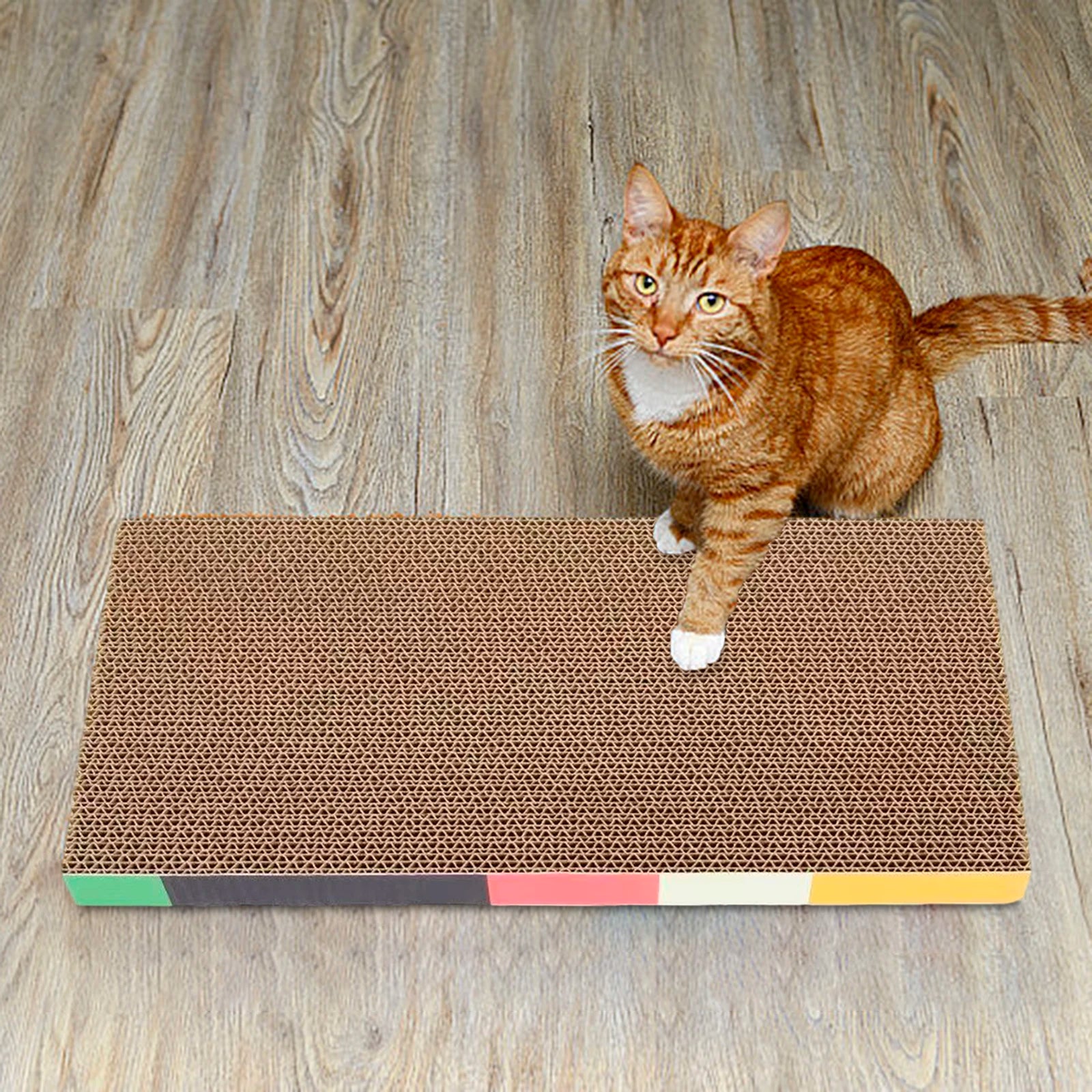 Cat Scratching Board Bed Cat Scratchers Cardboard Cat Scratch Pad Nest for Sleeping Playing Grinding Small Medium Large Cats - WTN Essentials 