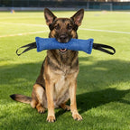 Jute Bite Pillow Dog Tug Toy for Interactive Training and Play