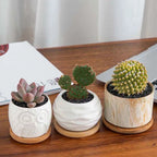 Simple Style Home Decoration Succulents Bonsai Holder Round Square Flowerpot Base Hexagon Rectangle Bamboo Wood Tray