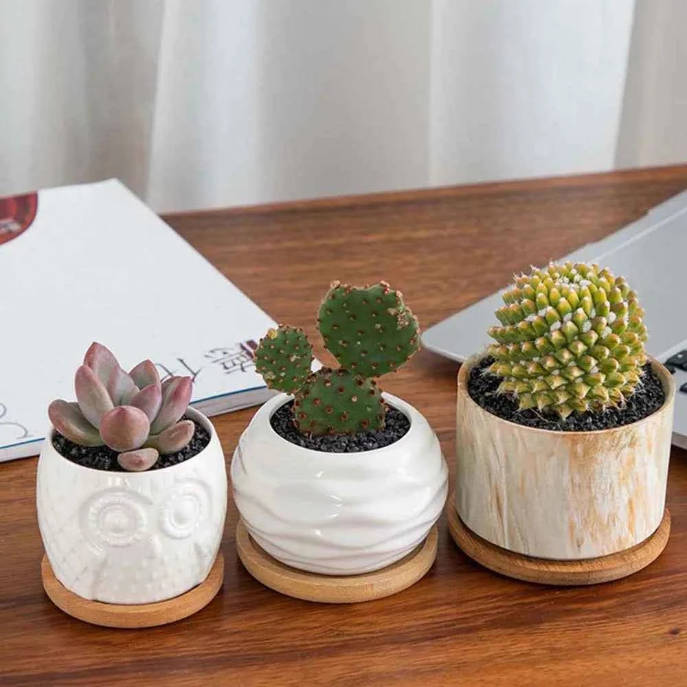 Simple Style Home Decoration Succulents Bonsai Holder Round Square Flowerpot Base Hexagon Rectangle Bamboo Wood Tray