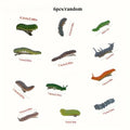 Spooky 6pcs Hair Clips for Caterpillar - Durable Plastic, No Batteries Required, Perfect for Halloween & Prank Parties