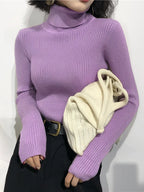 Turtleneck Sweater Womens 2026 Autumn Winter Tops Korean Slim Women Pullover Jumper Knitted Sweater Pull Femme Hiver Truien