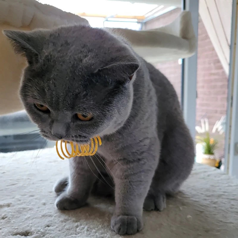 Kitten Cat Toys Wide Durable Heavy Gauge Cat Spring Toy Colorful Springs Cat Pet Toy Coil Spiral Springs 4/8/16/20pcs - WTN Essentials 