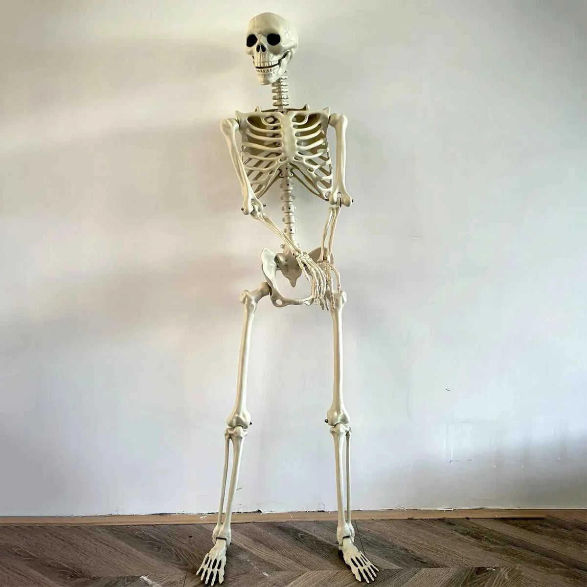 Happy skeleton for Halloween Full Body Posable Skeleton Modeling Humanoid Skeleton Decorative Props for Halloween Party Supplies