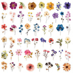 50/200PCS Transparent PET Flower Plant Material Stickers Handbooks Tablets Phone Water Cups Decor Stationary Notebook Stickers