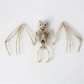 Halloween Horror Skeleton & Creature Decor – Creepy Party Decorations