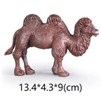 NEW Wild Animal Zoo Tiger Kangaroo Elephant Snake Bear Deer Koala Squirrel Model Figurine Collecta Toy Figures Gift for Children