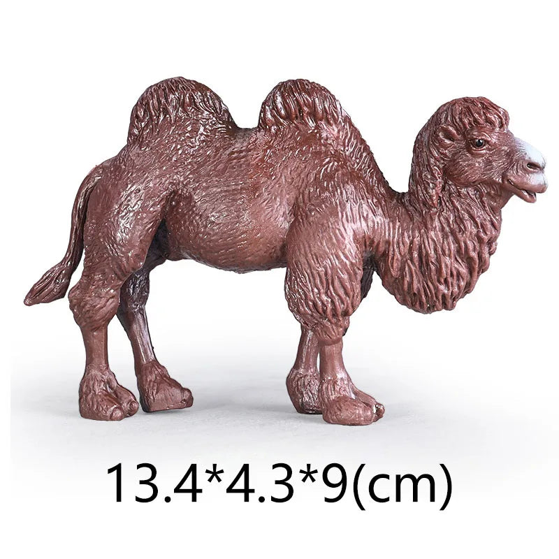 NEW Wild Animal Zoo Tiger Kangaroo Elephant Snake Bear Deer Koala Squirrel Model Figurine Collecta Toy Figures Gift for Children