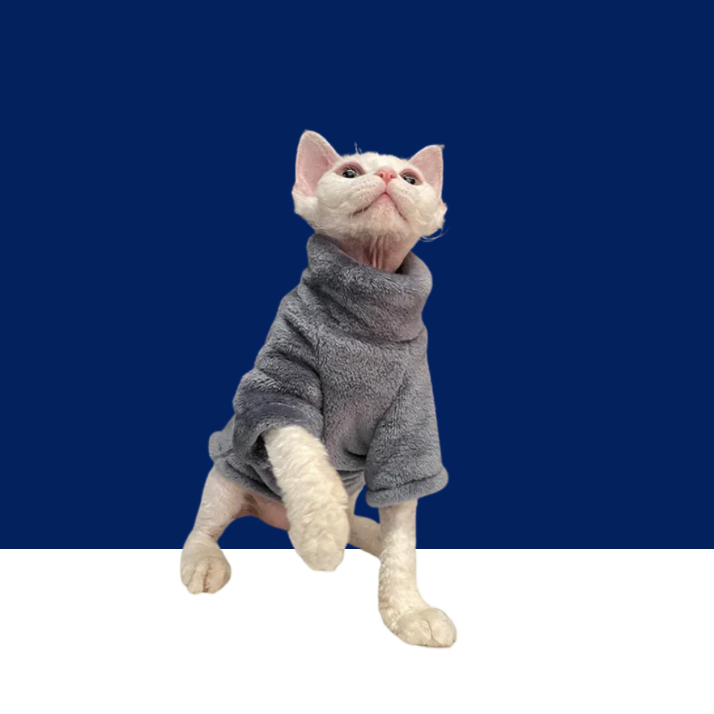Soft Coral Velvet Hairless Cat Clothes Vest