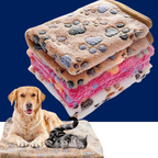 Soft Fluffy Pet Blanket – Cute Cartoon Pattern