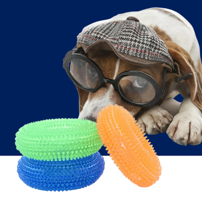 Durable Squeaky Dog Toys for Active Chewers