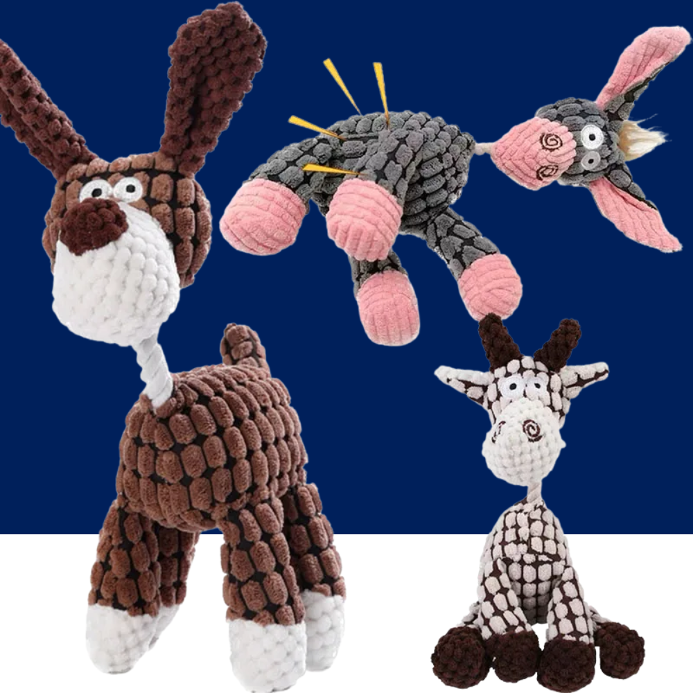 Squeaky Dog Toy – Durable Chew & Molar Toy for Small & Large Dogs