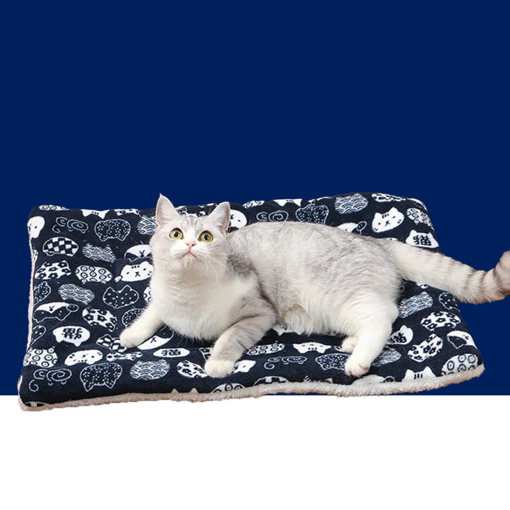 Thicken Flannel Cat Mat – Soft Winter Sleeping Cushion for Cats & Small Dogs