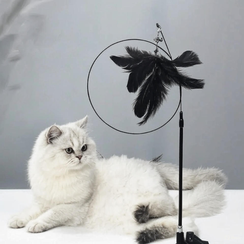Cat Teaser Stick with Suction Cup– Durable Feather Wand Toy