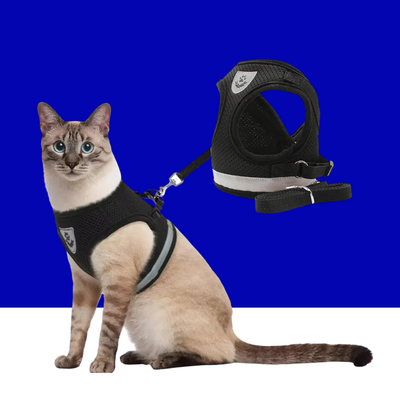 Reflective Cat Harness and Leash for Every Adventure