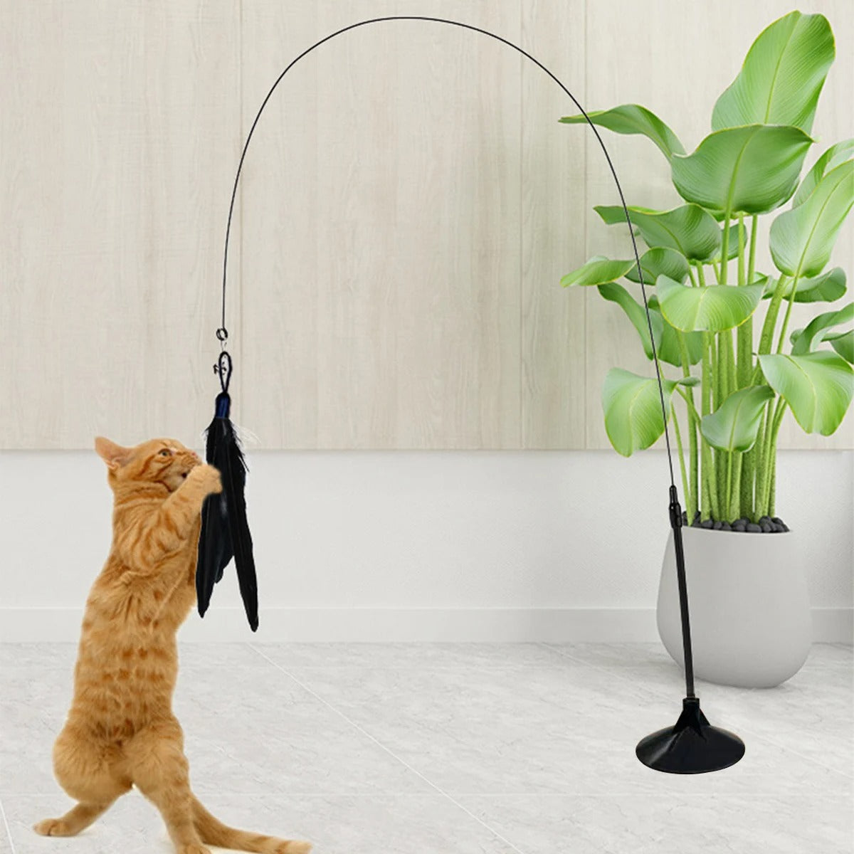 Cat playing with a feathered fishing rod toy indoors.