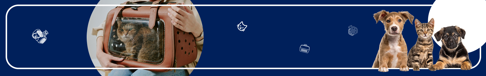 Cat in a pet carrier with four dogs and a cat on a blue background